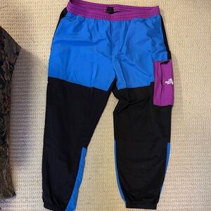 North Face blue, black and purple color block jogger Pants.